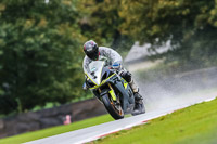 PJ-Motorsport-Photography-2020;anglesey;brands-hatch;cadwell-park;croft;donington-park;enduro-digital-images;event-digital-images;eventdigitalimages;mallory;no-limits;oulton-park;peter-wileman-photography;racing-digital-images;silverstone;snetterton;trackday-digital-images;trackday-photos;vmcc-banbury-run;welsh-2-day-enduro